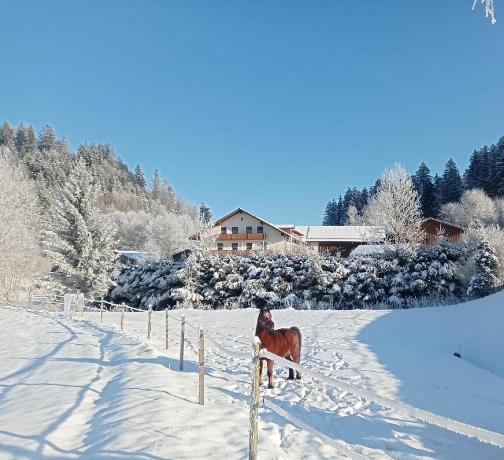 Hostal Ferienbauernhof Mehlbach Kollnburg Exterior foto