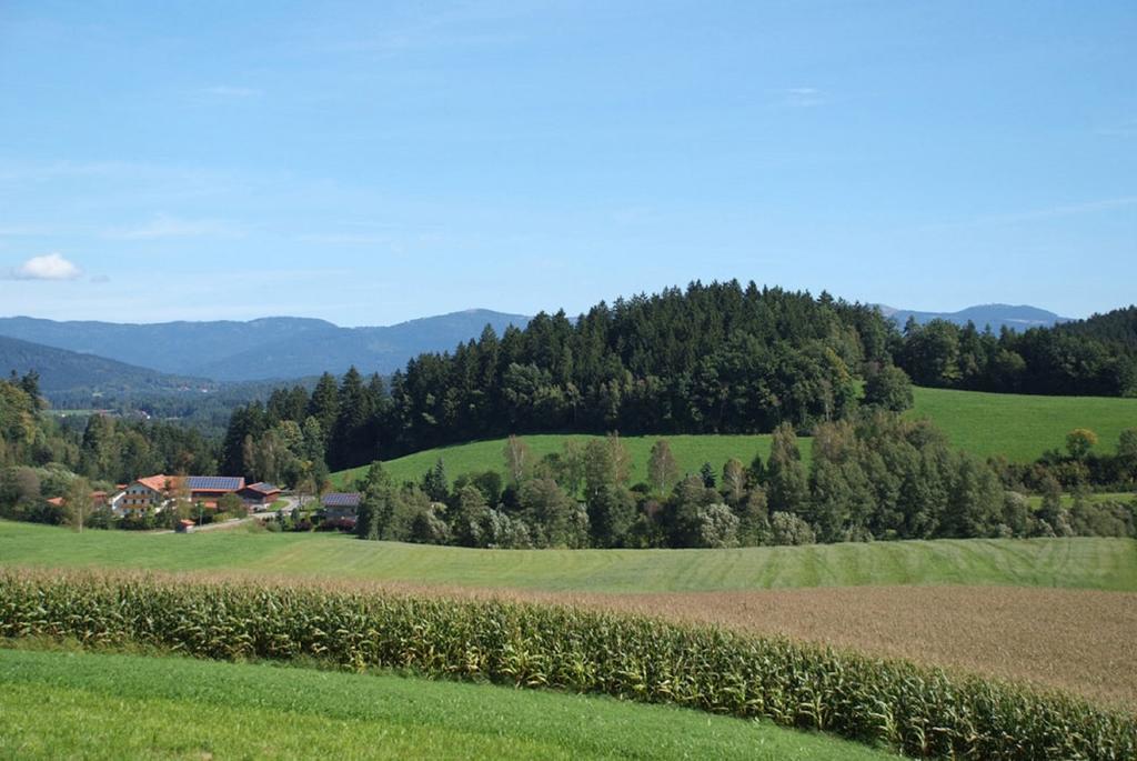 Hostal Ferienbauernhof Mehlbach Kollnburg Exterior foto